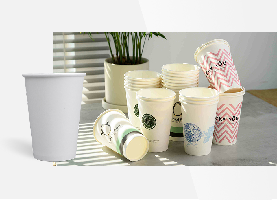 Paper Cup