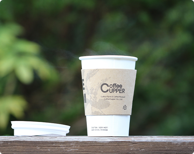 Mga Disposable Cup ng FDA